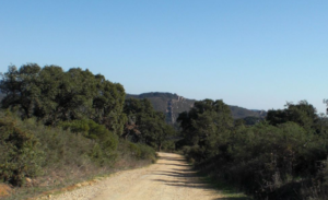 Rutas de Senderismo en el Parque Natural de los Alcornocales